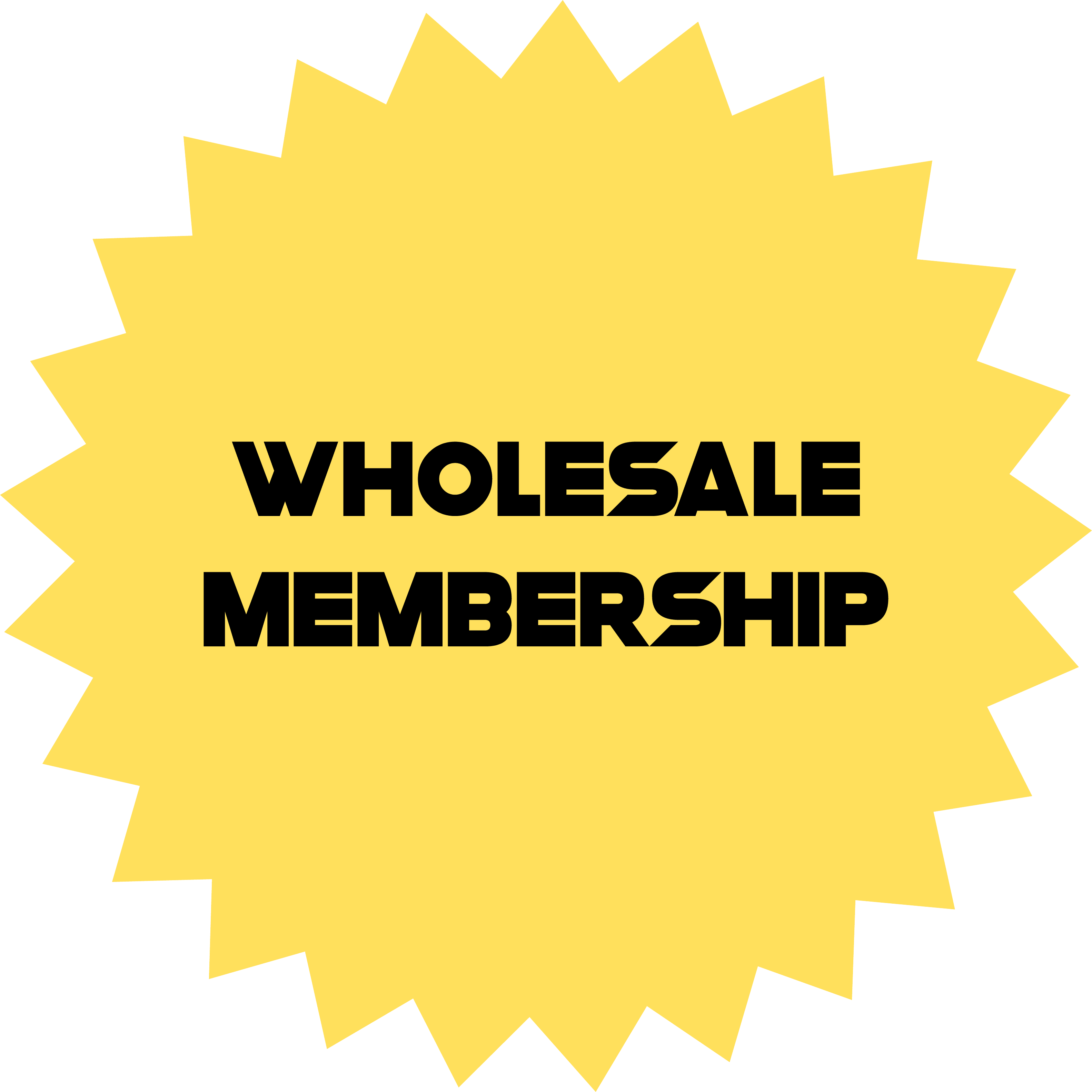 Wholesale Membership - Rebel Minds
