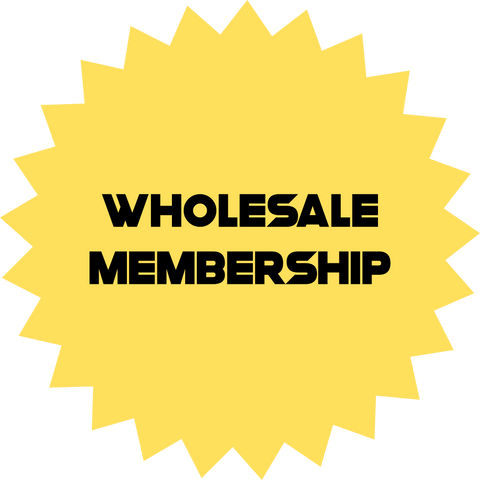 Wholesale Membership - Rebel Minds